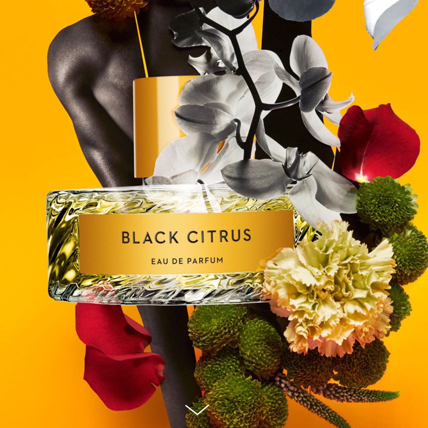 black citrus perfume